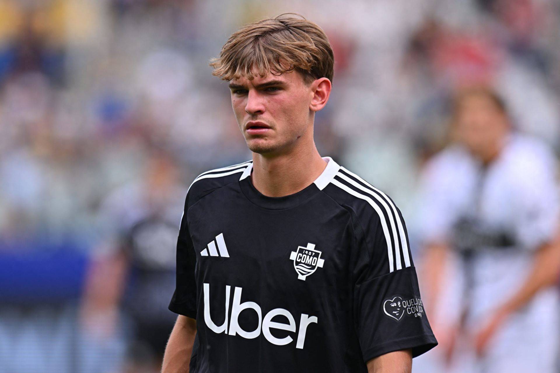 的赛季奠定 的赛季奠定